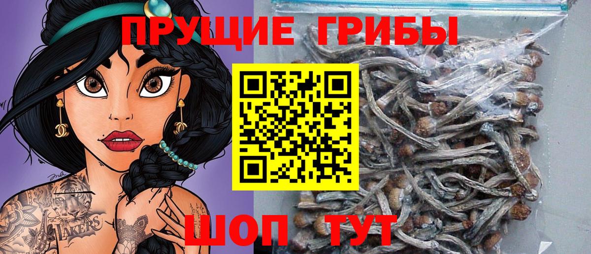 Борисоглебск  Галлюциногенные грибы Magic Shrooms  Галлюциногенные грибы прущие грибы  Вход с VPN 