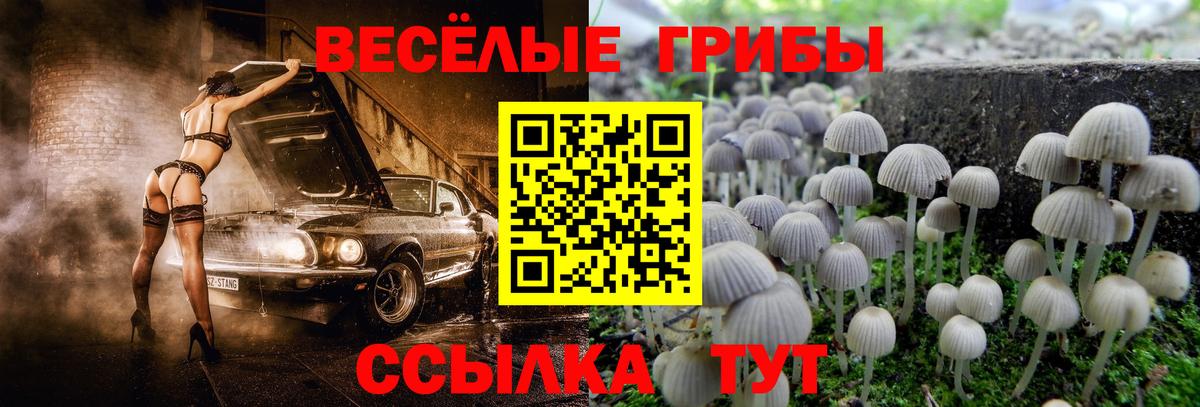 Галлюциногенные грибы Cubensis Борисоглебск